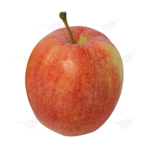 Manzana Gala 1 Kg