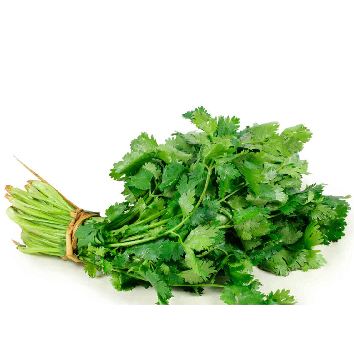 Cilantro en Anyhow máxima frescura en verduras