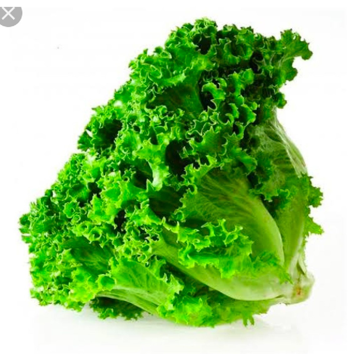 Lechuga Italiana en Anyhow máxima frescura en verduras