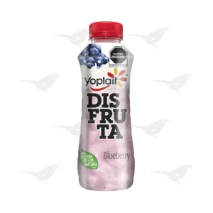 Yoghurt Yoplait Bebible Disfruta Blueberry 307g